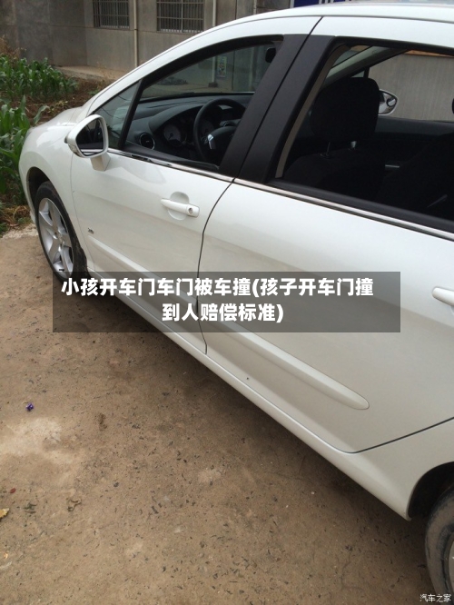 小孩开车门车门被车撞(孩子开车门撞到人赔偿标准)-第1张图片