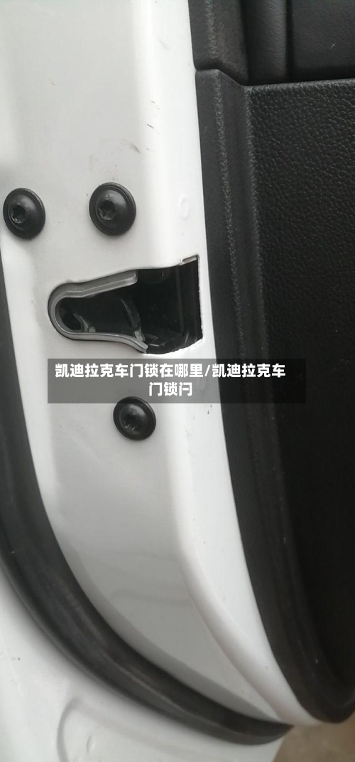 凯迪拉克车门锁在哪里/凯迪拉克车门锁闩-第3张图片