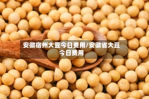 安徽宿州大豆今日费用/安徽省大豆今日费用-第3张图片