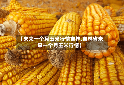 【未来一个月玉米行情吉林,吉林省未来一个月玉米行情】-第2张图片