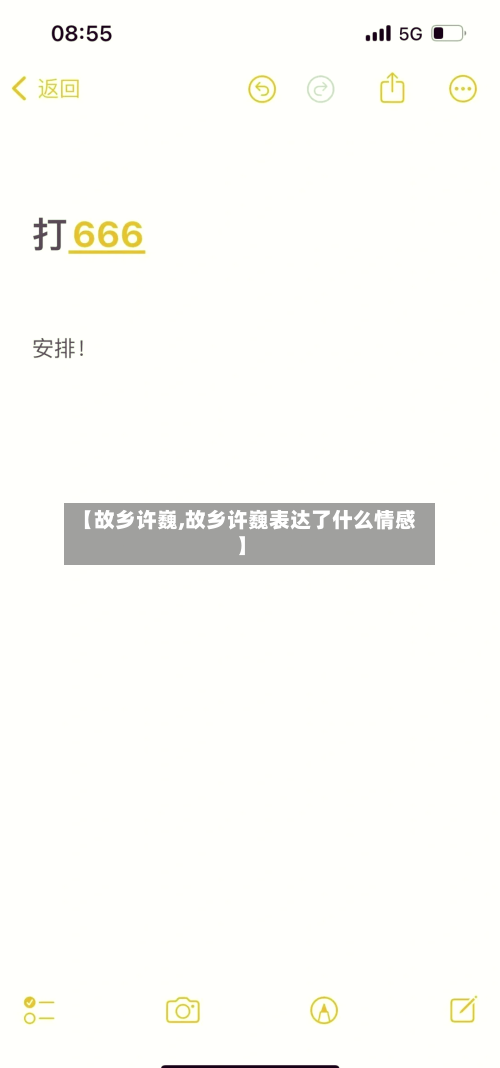 【故乡许巍,故乡许巍表达了什么情感】-第2张图片