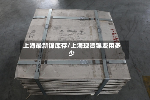 上海最新镍库存/上海现货镍费用多少-第1张图片