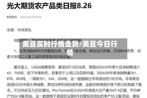 美豆实时行情走势/美豆今日行情-第1张图片