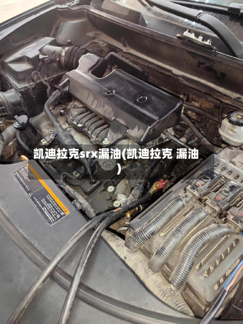 凯迪拉克srx漏油(凯迪拉克 漏油)-第1张图片