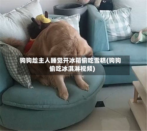 狗狗趁主人睡觉开冰箱偷吃雪糕(狗狗偷吃冰淇淋视频)-第2张图片