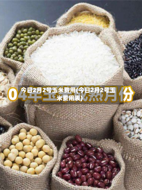 今日2月2号玉米费用(今日2月2号玉米费用表)-第2张图片
