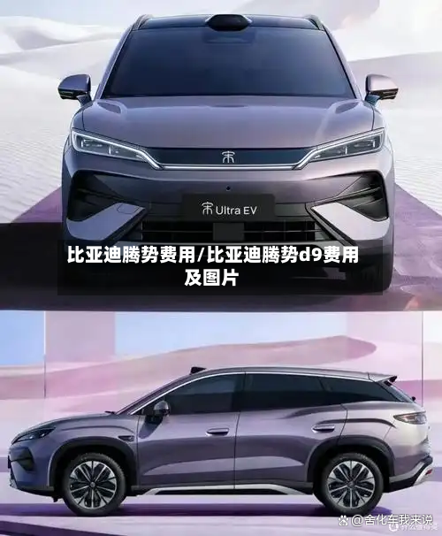 比亚迪腾势费用/比亚迪腾势d9费用及图片-第2张图片