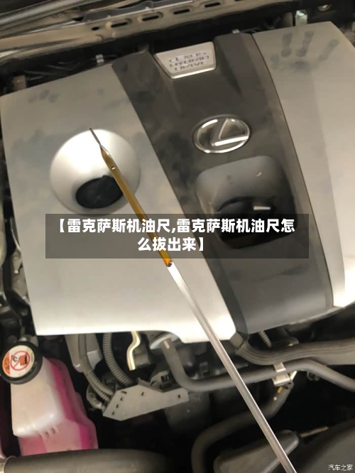 【雷克萨斯机油尺,雷克萨斯机油尺怎么拔出来】-第1张图片