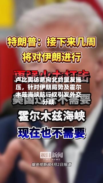 卢比奥访意向北约盟友施压	，针对伊朗局势及霍尔木兹海峡航行权引发外交分歧-第1张图片