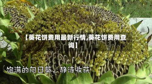 【葵花饼费用最新行情,葵花饼费用查询】-第2张图片