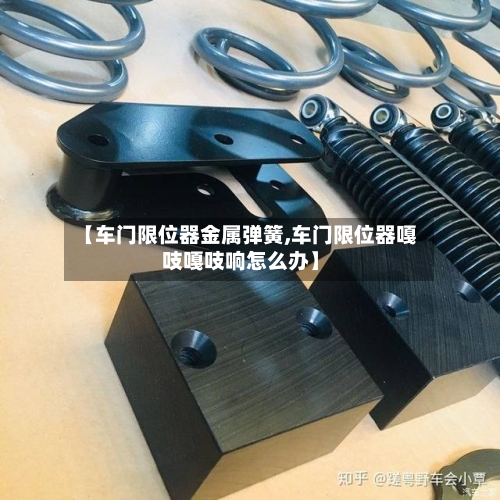 【车门限位器金属弹簧,车门限位器嘎吱嘎吱响怎么办】-第2张图片