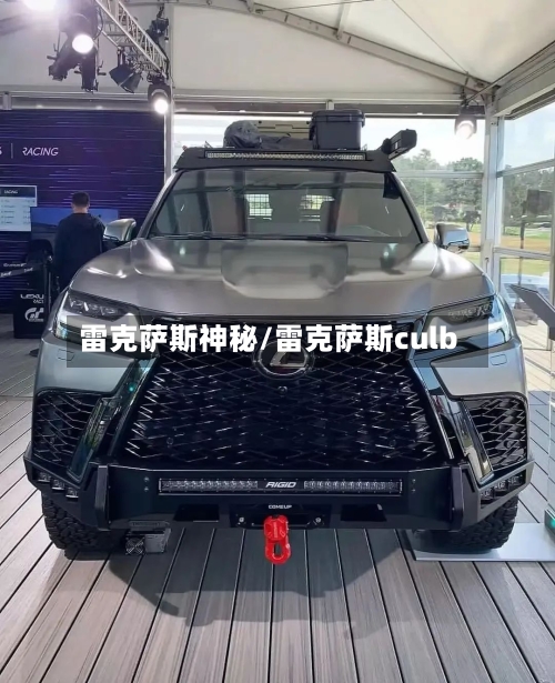 雷克萨斯神秘/雷克萨斯culb-第1张图片