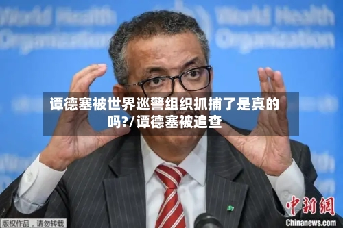 谭德塞被世界巡警组织抓捕了是真的吗?/谭德塞被追查-第3张图片
