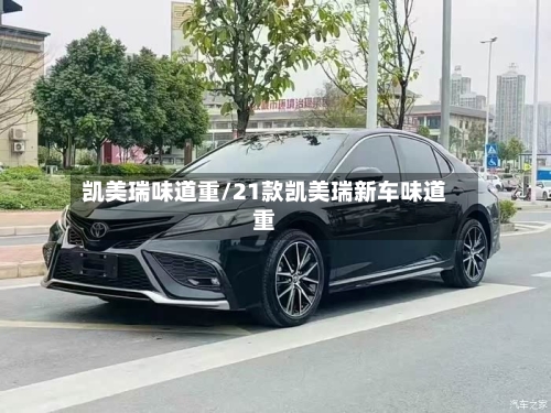 凯美瑞味道重/21款凯美瑞新车味道重-第2张图片