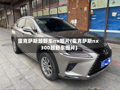 雷克萨斯越野车nx图片(雷克萨斯nx300越野车图片)-第1张图片