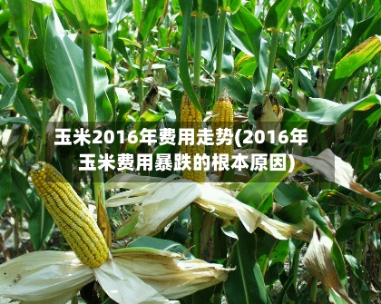 玉米2016年费用走势(2016年玉米费用暴跌的根本原因)-第1张图片