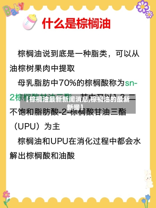 【棕榈油最新新闻消息,棕榈油的最新新闻】-第1张图片