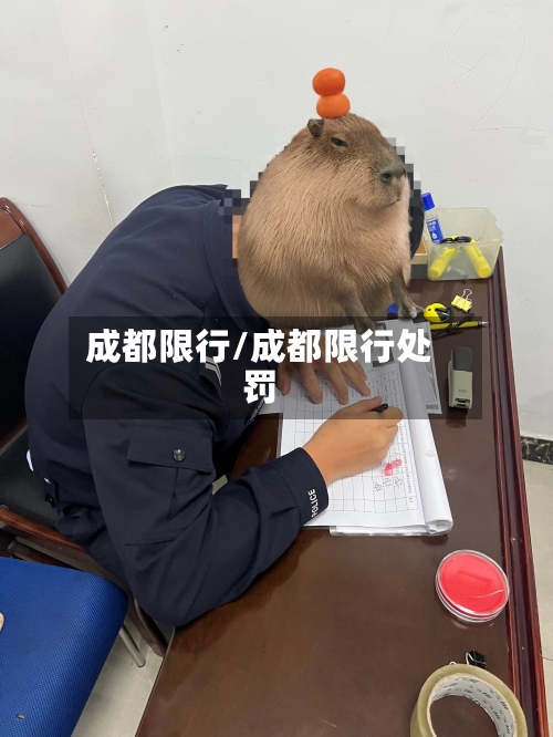 成都限行/成都限行处罚-第1张图片