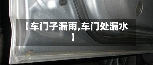 【车门子漏雨,车门处漏水】-第2张图片