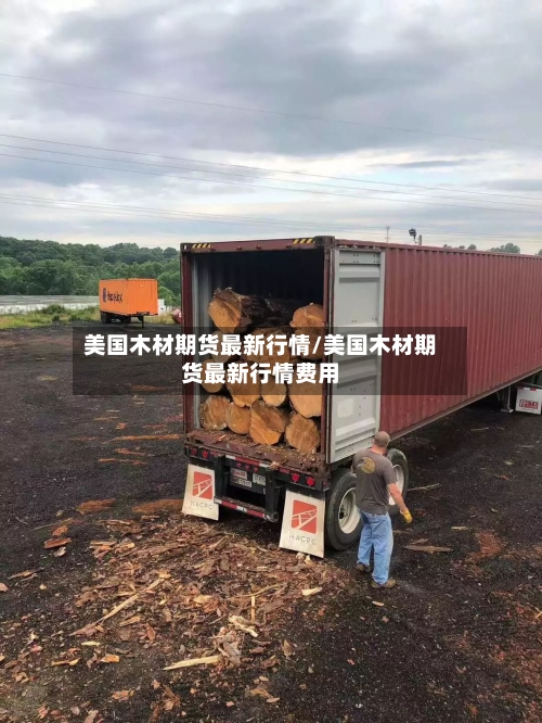 美国木材期货最新行情/美国木材期货最新行情费用-第2张图片