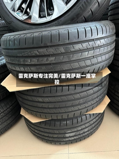 雷克萨斯专注完美/雷克萨斯一座掌控-第2张图片