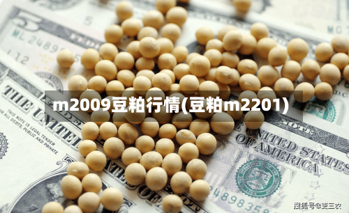 m2009豆粕行情(豆粕m2201)-第2张图片