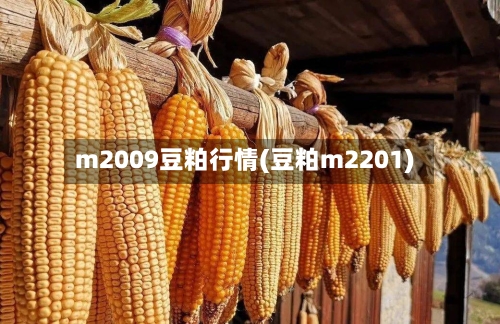 m2009豆粕行情(豆粕m2201)-第1张图片