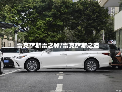 雷克萨斯雷之翼/雷克萨斯之道-第3张图片