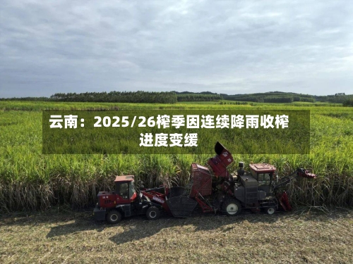 云南：2025/26榨季因连续降雨收榨进度变缓-第1张图片