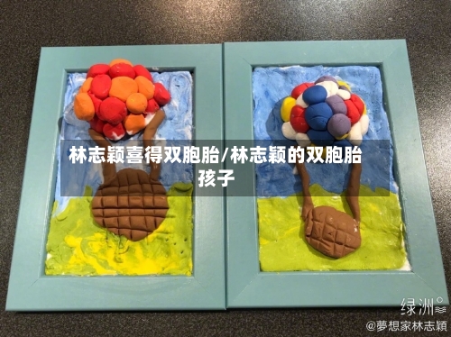 林志颖喜得双胞胎/林志颖的双胞胎孩子-第1张图片