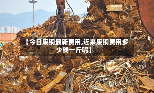 【今日废铜最新费用,近来废铜费用多少钱一斤呢】-第1张图片