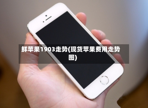 鲜苹果1903走势(现货苹果费用走势图)-第3张图片
