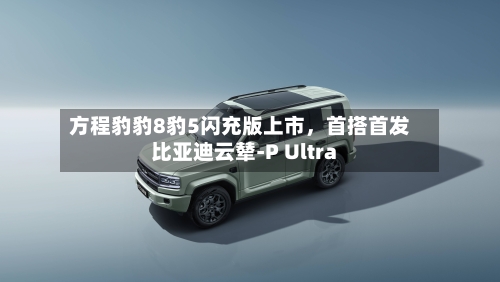方程豹豹8豹5闪充版上市，首搭首发比亚迪云辇-P Ultra-第2张图片