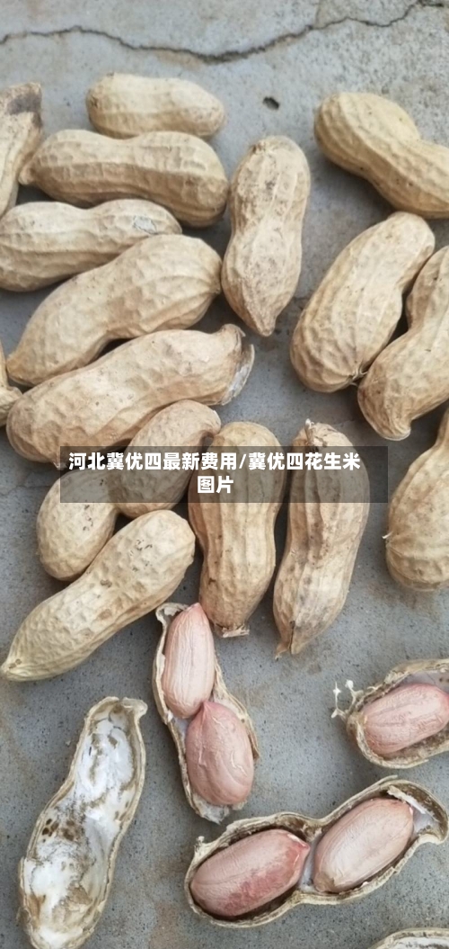 河北冀优四最新费用/冀优四花生米图片-第1张图片