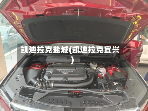 凯迪拉克盐城(凯迪拉克宜兴)-第2张图片