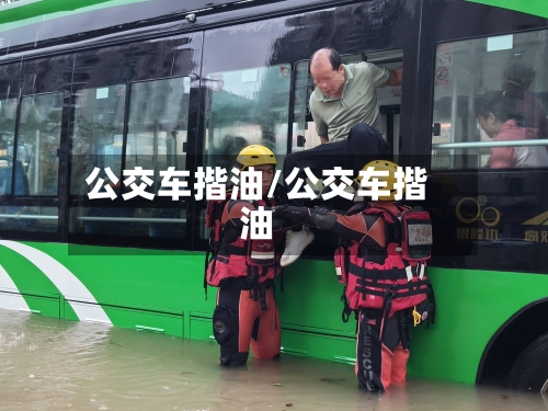 公交车揩油/公交车揩油-第1张图片