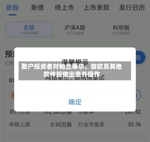 散户投资者对帕兰蒂尔、微软及其他软件股做出意外操作-第2张图片