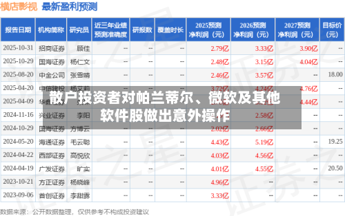 散户投资者对帕兰蒂尔、微软及其他软件股做出意外操作-第3张图片