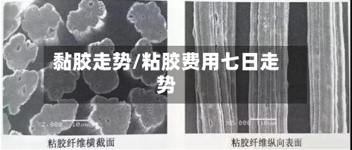 黏胶走势/粘胶费用七日走势-第3张图片