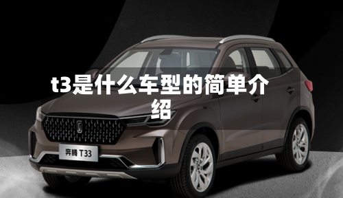 t3是什么车型的简单介绍-第2张图片