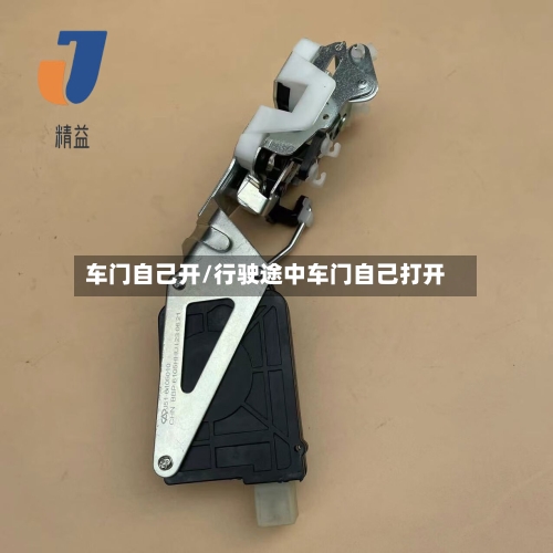 车门自己开/行驶途中车门自己打开-第2张图片