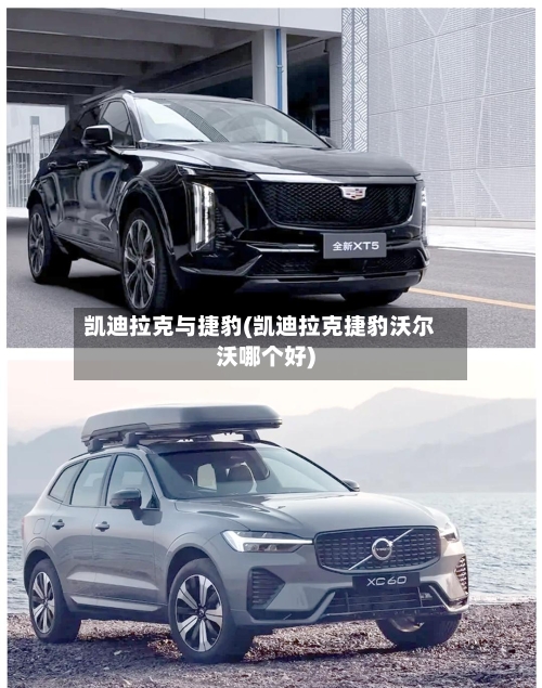 凯迪拉克与捷豹(凯迪拉克捷豹沃尔沃哪个好)-第3张图片