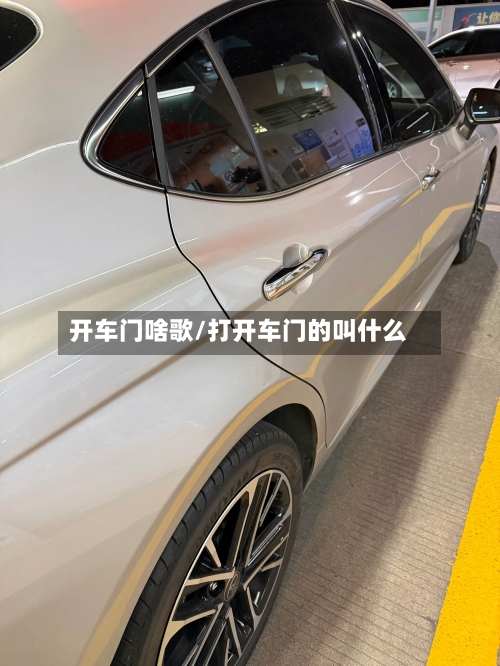 开车门啥歌/打开车门的叫什么-第3张图片