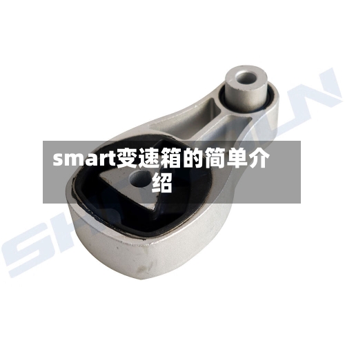 smart变速箱的简单介绍-第2张图片