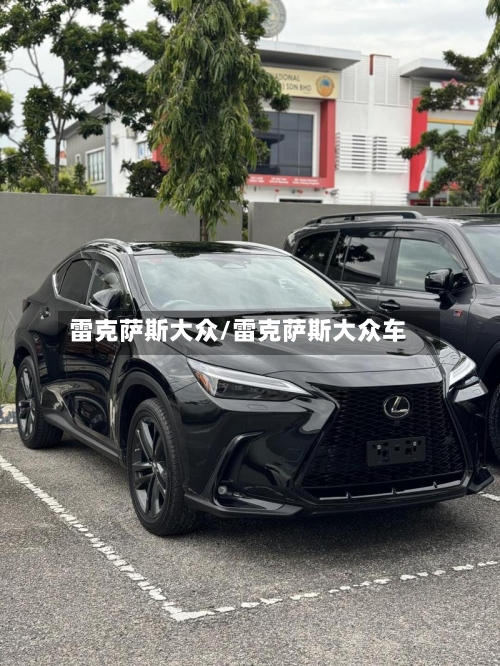 雷克萨斯大众/雷克萨斯大众车-第2张图片
