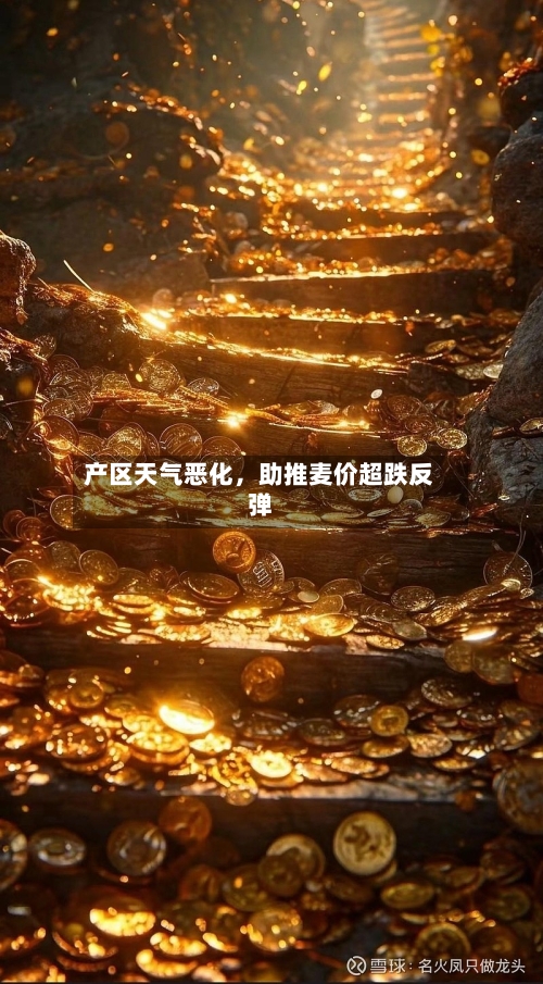 产区天气恶化，助推麦价超跌反弹-第1张图片