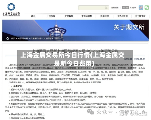 上海金属交易所今日行情(上海金属交易所今日费用)-第1张图片