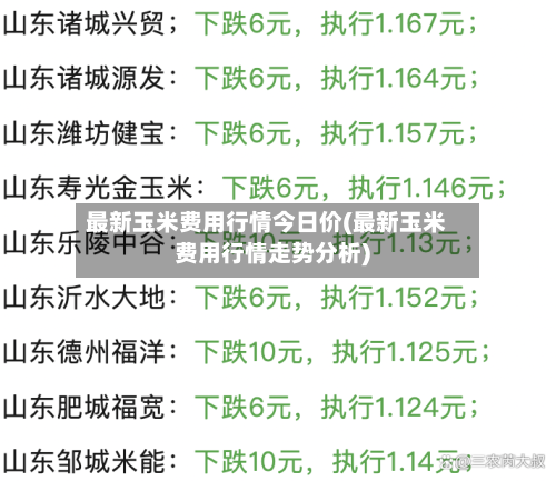 最新玉米费用行情今日价(最新玉米费用行情走势分析)-第1张图片