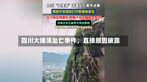 四川大摆荡坠亡事件，直接原因披露-第2张图片