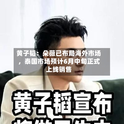 黄子韬：朵薇已布局海外市场，泰国市场预计6月中旬正式上线销售-第2张图片